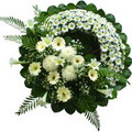 Ankara Elvankent Çiçekçi firma ürünümüz cenazeye çiçek çelenk modeli Ankara çiçek gönder firması şahane ürünümüz