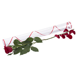 Ankara çiçekçi satışı sitemizden harika görüntülü 1 adet kırmızı gül