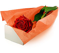 1 adet kutu içinde gül Ankara çiçekçilik görsel çiçek modeli firmamızdan